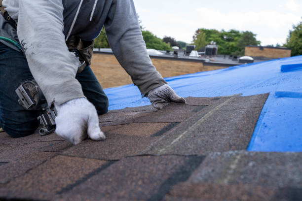 Best Roof Leak Repair  in Kokomo, IN